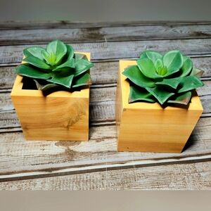 Matching Pair of Small Faux Succulents in Wooden Planters